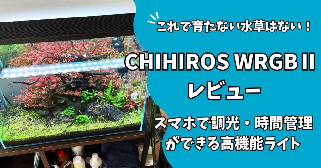 【Chihiros WRGBⅡ60を徹底レビュー】水草育成に悩むならこれで決まり！アプリで調光できる高機能ライト～おすすめの設定も紹介～