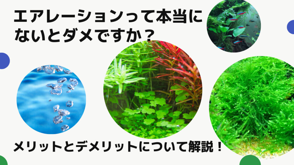 【エアレーションは不要？】水草水槽でエアレーションをするメリット・デメリットとその対策について解説！