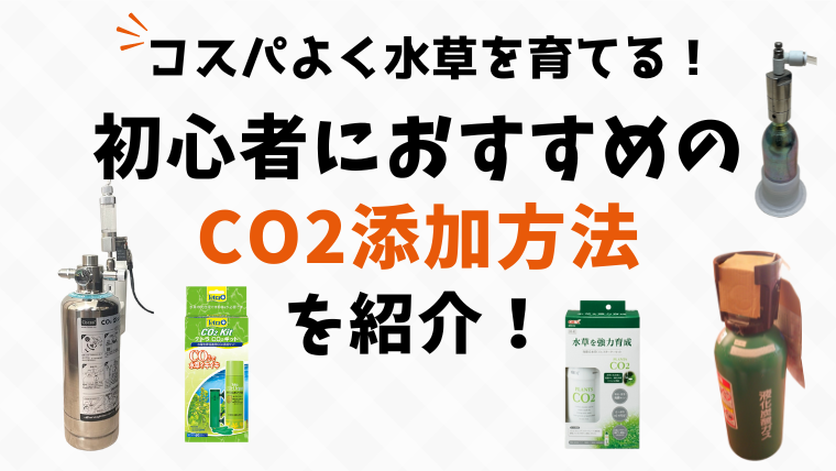 【水草水槽】初めてCo2を添加するときのおすすめの方法ついて解説！～発酵式やミドボンなども紹介～