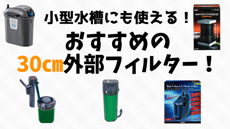 【ろ過能力最強】30cm水槽にぴったりな小型外部フィルターおすすめ５選を紹介！～各メーカーの比較も～