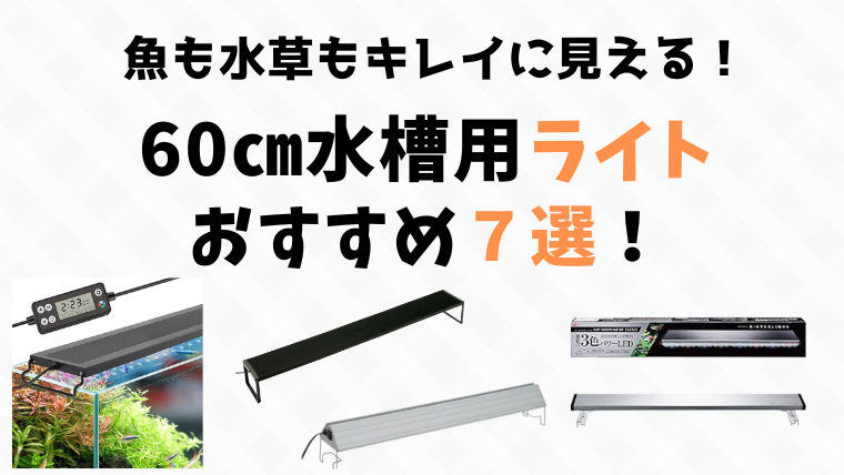 【水草も魚もきれいに見える】60cm水槽用LEDライトおすすめ7選！赤系水草や緑の絨毯もできる！