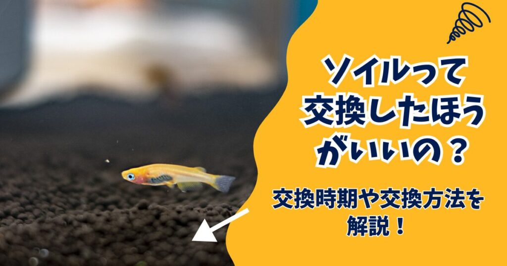 【水草水槽】ソイルの交換時期はいつ？悩まないためのヒントや交換方法を紹介！