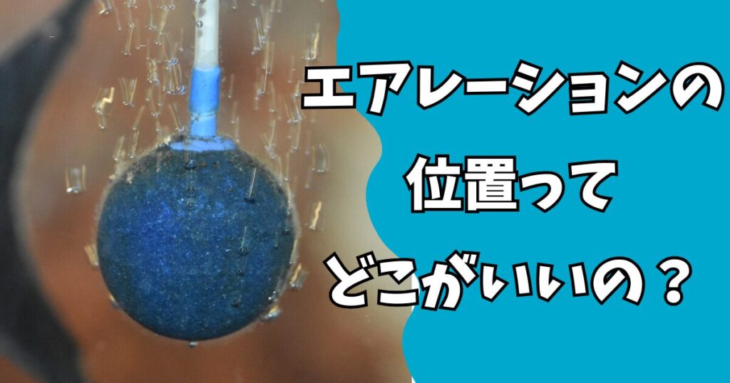 水槽のエアレーション位置を見直そう！初心者が知っておくべき最適化のコツ