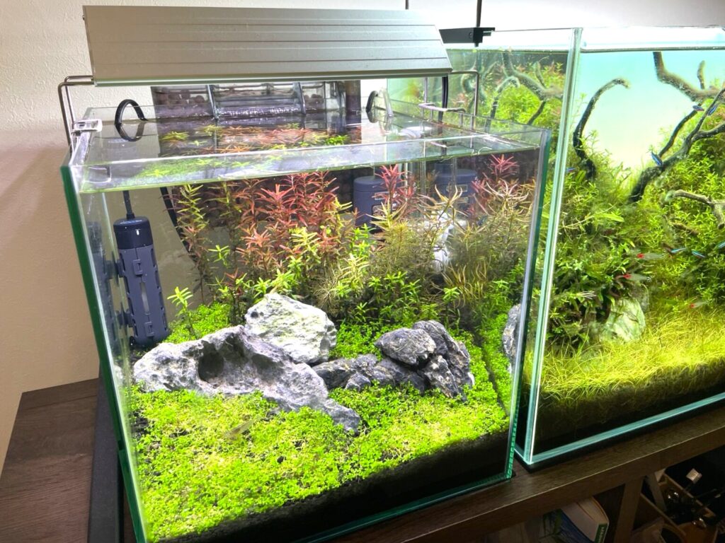 外掛けフィルターのろ材入れすぎ問題～適切な量とおすすめのろ材