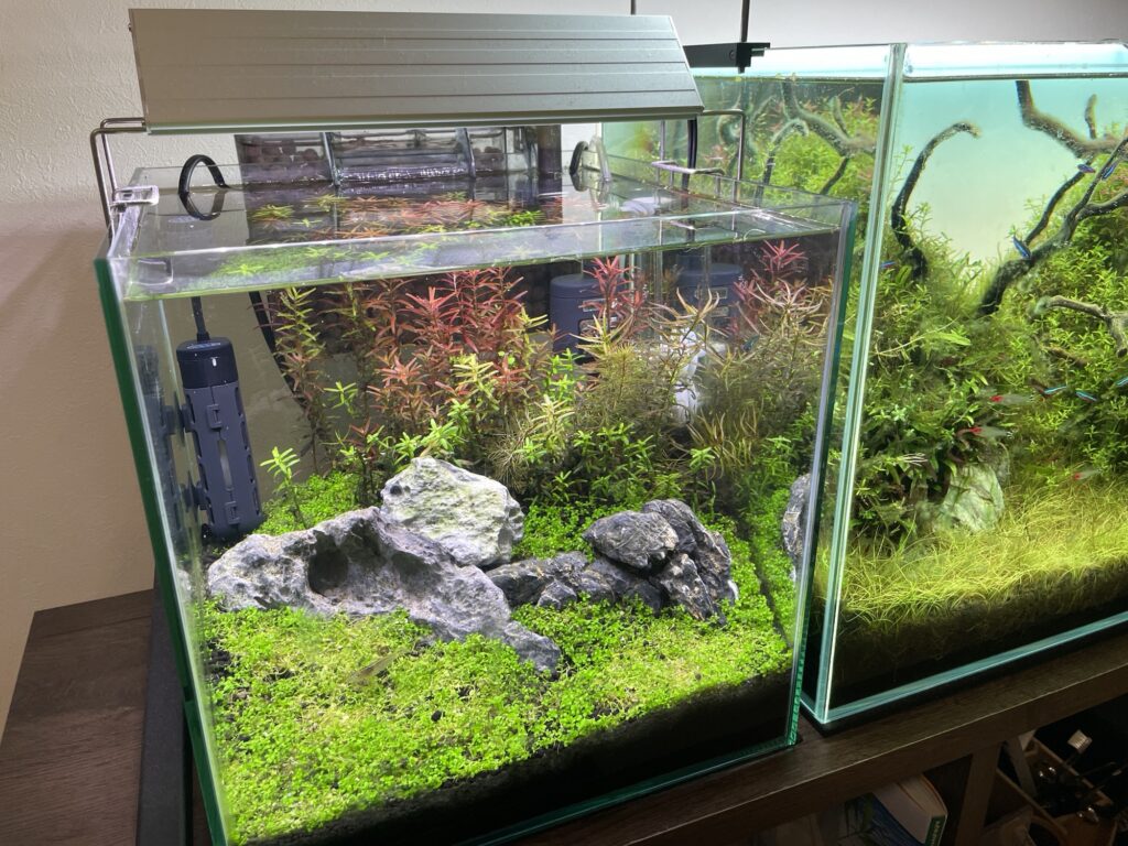 水草がきれいに育つ】60cm水槽用LEDライトおすすめ5選！赤系