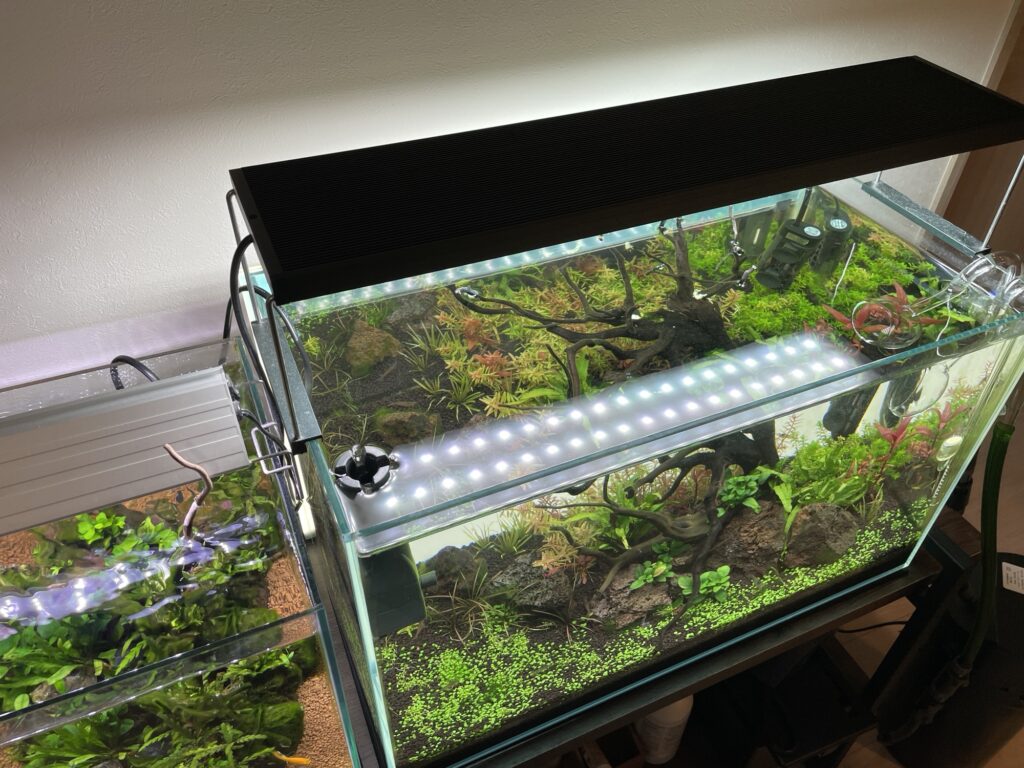 水草がきれいに育つ】60cm水槽用LEDライトおすすめ5選！赤系