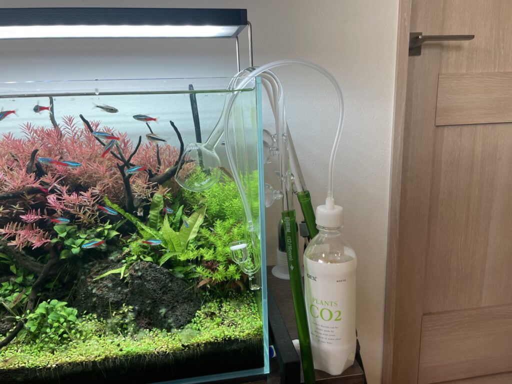 水槽の横に発酵式CO2のボトルを置いている写真です。収納に困らないCO2添加の方法です。