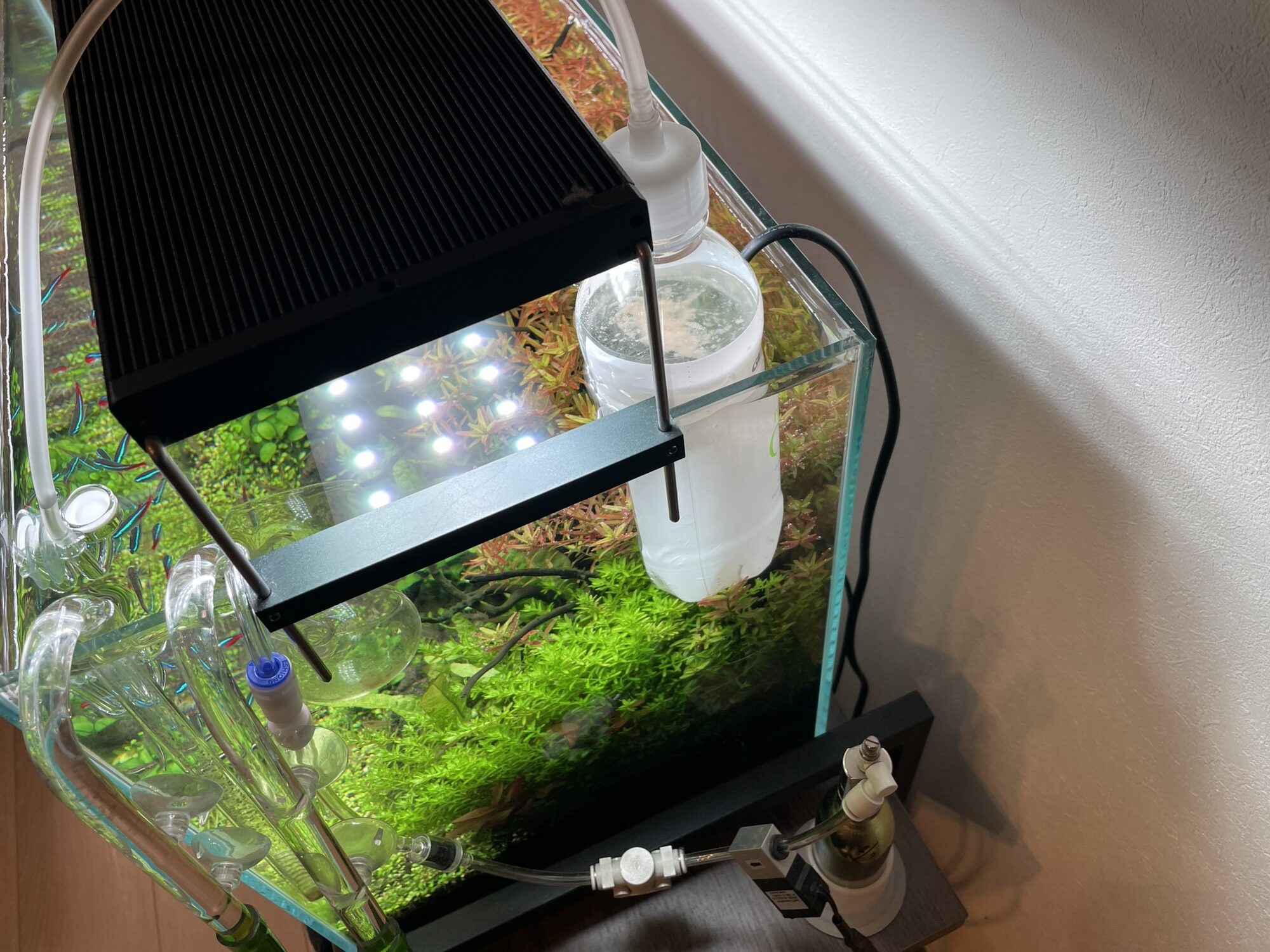 発酵式CO2の容器を水槽内で温め、冬場でもCO２を発酵させることができたという画像