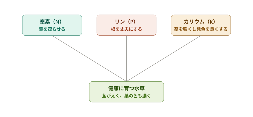 水草の3大栄養素の図解